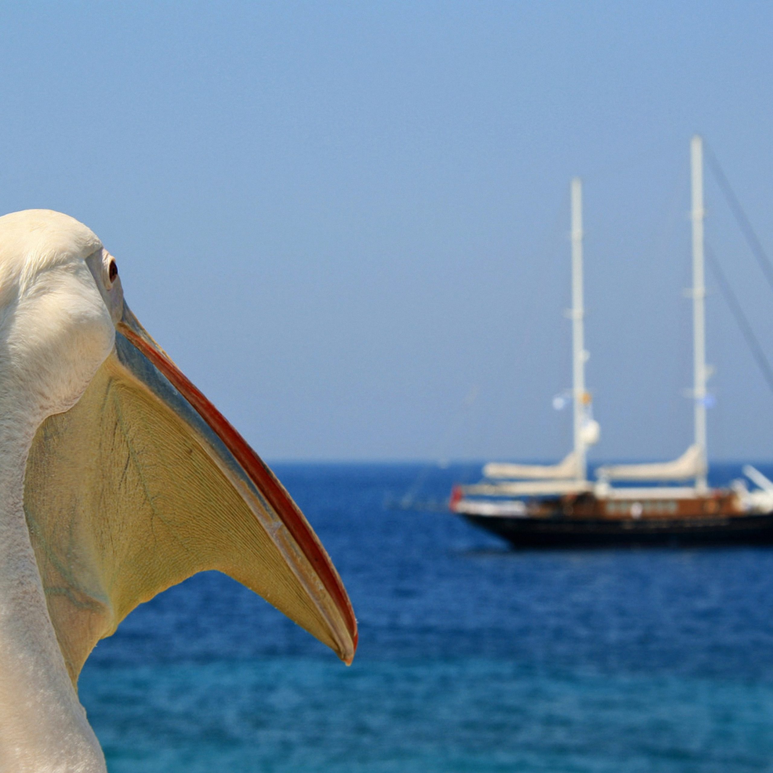 Μύκονος